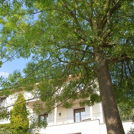 Villa Patrizia มอนกาลโว ภายนอก รูปภาพ