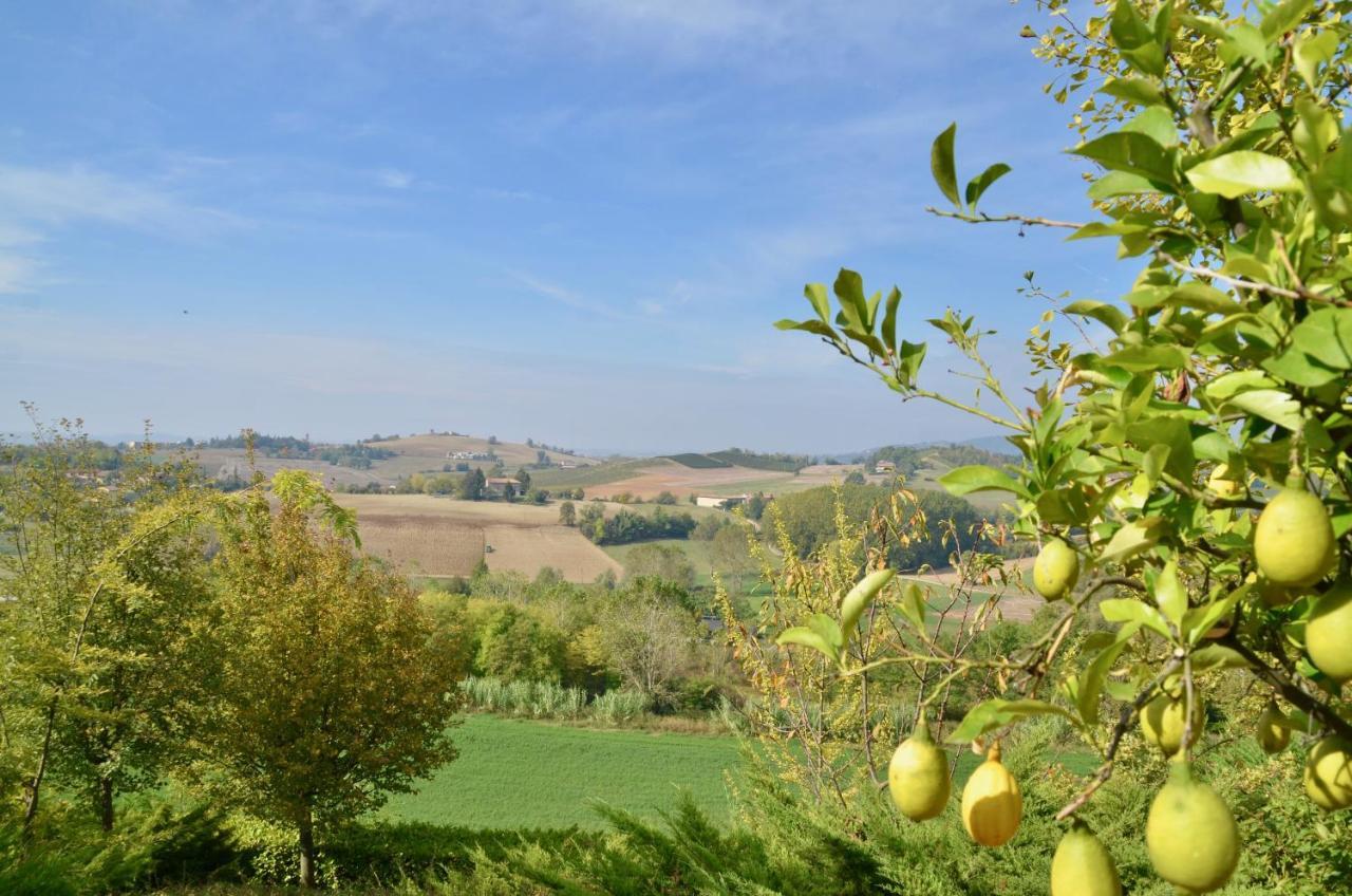 Villa Patrizia มอนกาลโว ภายนอก รูปภาพ