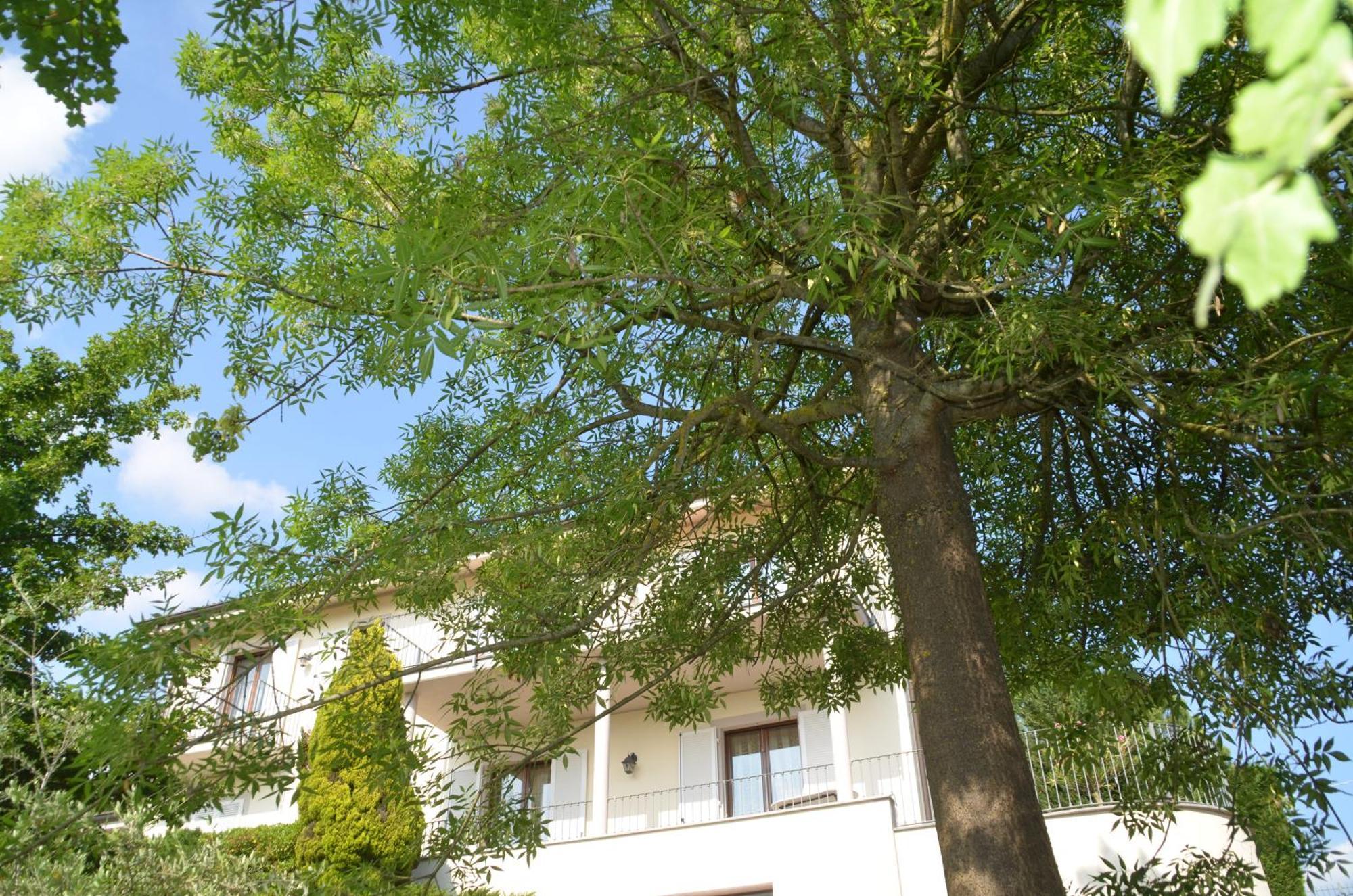 Villa Patrizia มอนกาลโว ภายนอก รูปภาพ